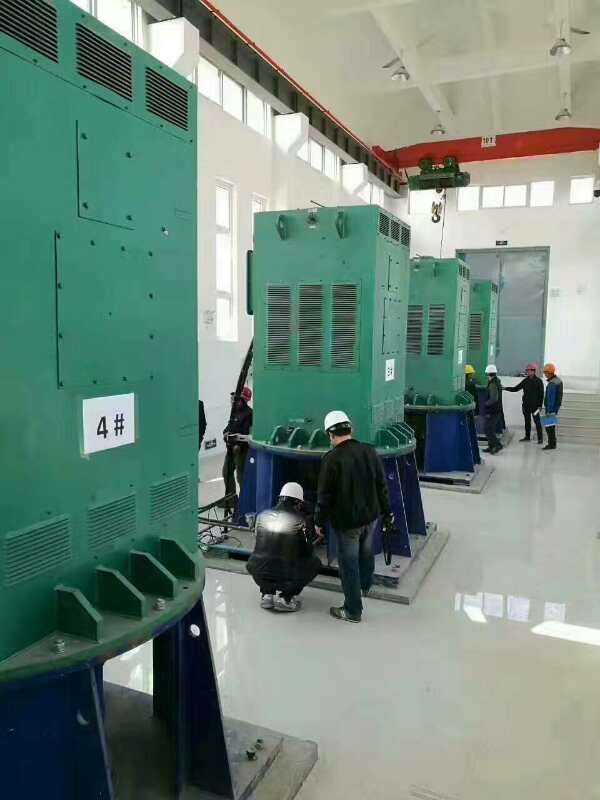 桂林某污水处理厂使用我厂的立式高压电机安装现场