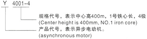 西安泰富西玛Y系列(H355-1000)高压桂林三相异步电机型号说明